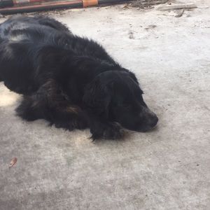 Meet your Posher, Luke